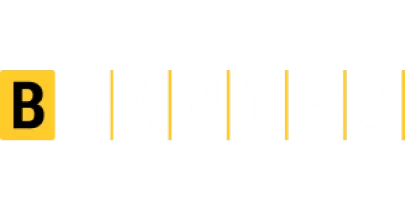 partners who work with KingExchange